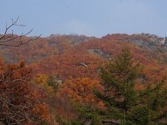 -大连天门山国家森林公园