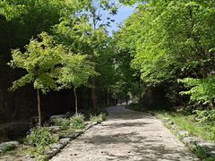 -十渡东湖港风景区