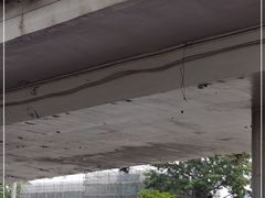 -广东外语外贸大学(白云山校区)