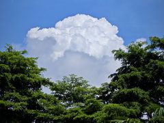 -广州神农草堂中医药博物馆