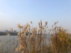 -南京眼步行桥