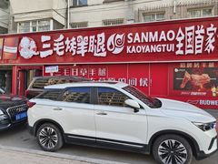 -三毛烤羊腿(乐园路总店)