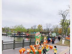 -上海长兴岛郊野公园