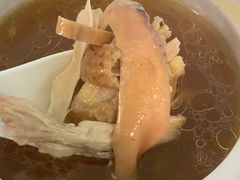 -玉滋補