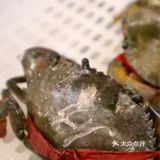 五折肉蟹煲🦀！快去打卡‼️