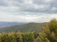 -苏木山森林公园