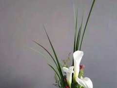 -荷兰布尔玛国际花艺学院