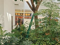 -大树餐厅(红旗街万达店)