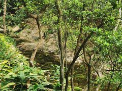 -梧桐山风景名胜区