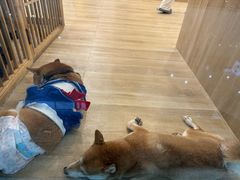 -万达广场(长沙开福店)
