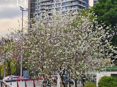 -广州市白云区图书馆