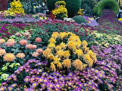 -杭州植物园