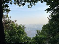 -惠山国家森林公园