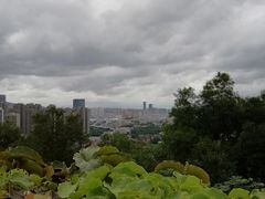 -金鸡山公园