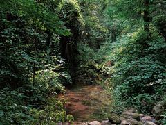-青城山