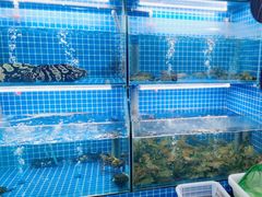 -星记小馆·小蓝龙·老南京砂锅菜(上海路店)