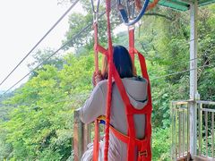 -南丹山森林王国