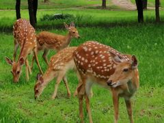 -承德避暑山庄景区