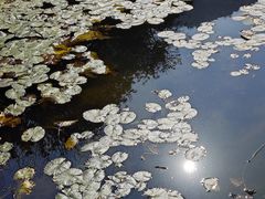 -桃花岭景区