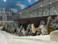 -世界之窗阿尔卑斯冰雪世界