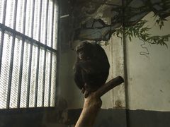 -无锡动物园·太湖欢乐园
