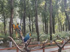 -北京野生动物园