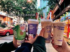 -一只酸奶牛(八一路店)