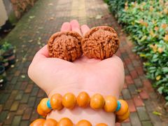 -Rabbit Cafe私房西餐甜点咖啡(栖霞路店)