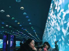 -多彩贵州城极地海洋世界