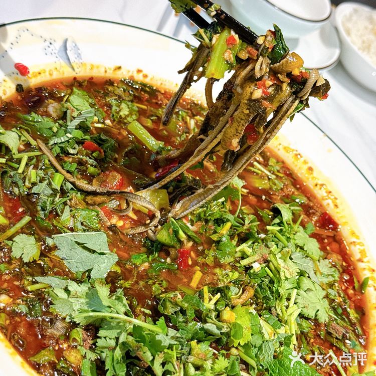 今天的美食探店之旅