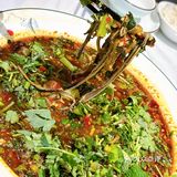 今天的美食探店之旅