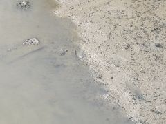 -北海金海湾红树林生态旅游区