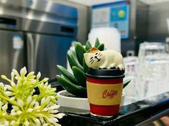 -缶乐FOLLOW咖啡