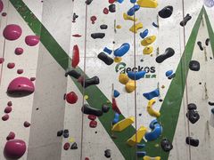 -绿壁虎攀岩基地(Tcar店)