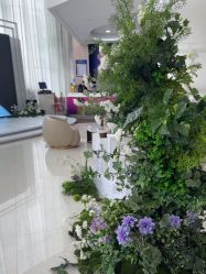 -广州美莱医疗美容医院