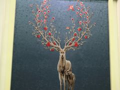 火烈鸟-随心小姐