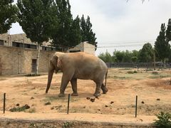 -石家庄市动物园