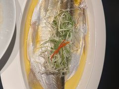 -杭州桐庐康莱德酒店中餐厅·乐