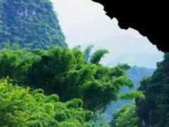 -长寿村