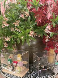 -RUMI日弥美容会所