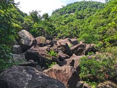 -广州白江湖森林公园