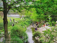 -重庆彩云湖湿地公园