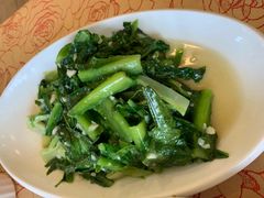 清炒凤尾-钦善斋(武侯祠店)