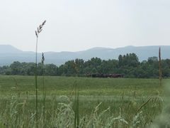 -塞罕坝国家级自然保护区