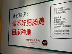 -晓彭肥肠鸡·泡椒鸡火锅(水木天地店)