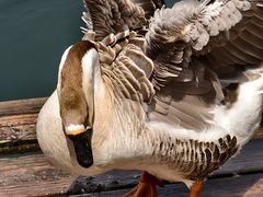 -西安汉城湖景区