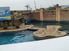 -秦皇岛乐岛海洋王国