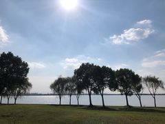 -漕湖湿地公园