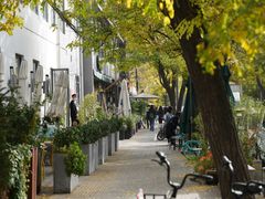 -三里屯东五街银杏大道