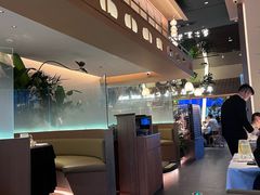 -桂满陇·海市蜃楼·黑金(国金店)